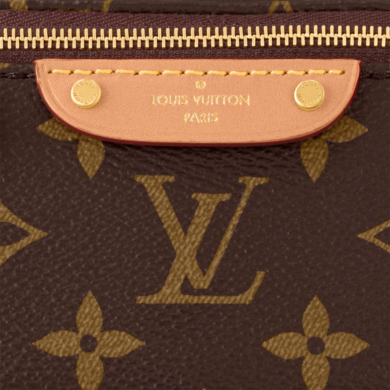 Túi Louis Vuitton Mini Bumbag Nữ Monogram